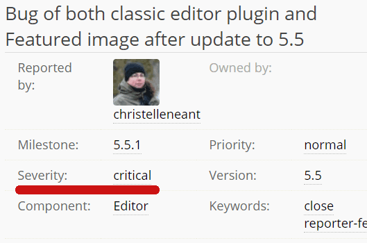 Screenshot of a critical WordPress 5.5 bug report