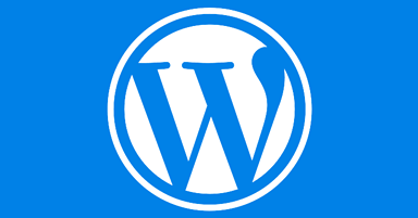 WordPress 5.5 – Easy Overview