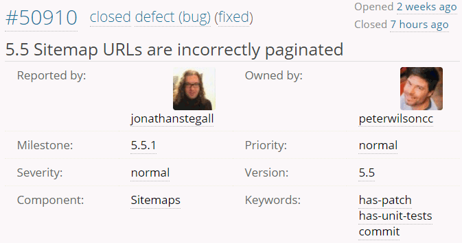 Screenshot of WordPress 5.5 bug report