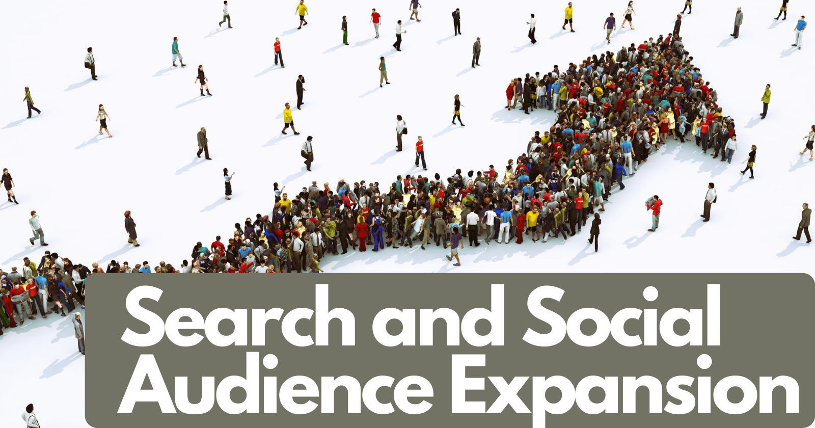 How to Maximize Your Search & Social Audience Expansion