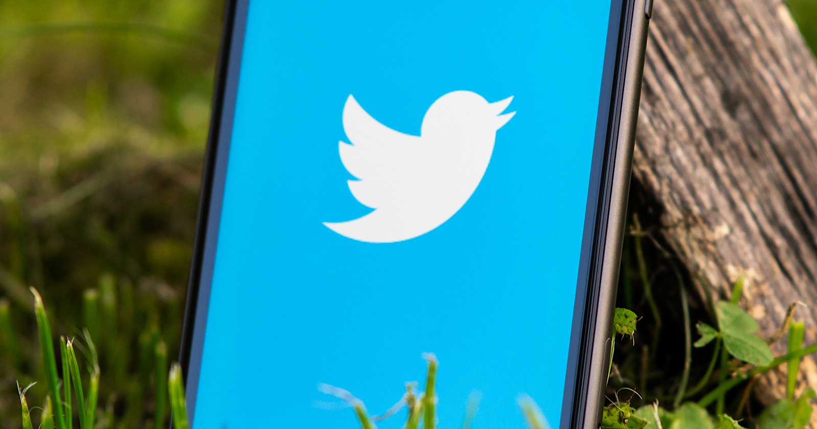 Twitter to Let Users Crop Their Own Image Previews