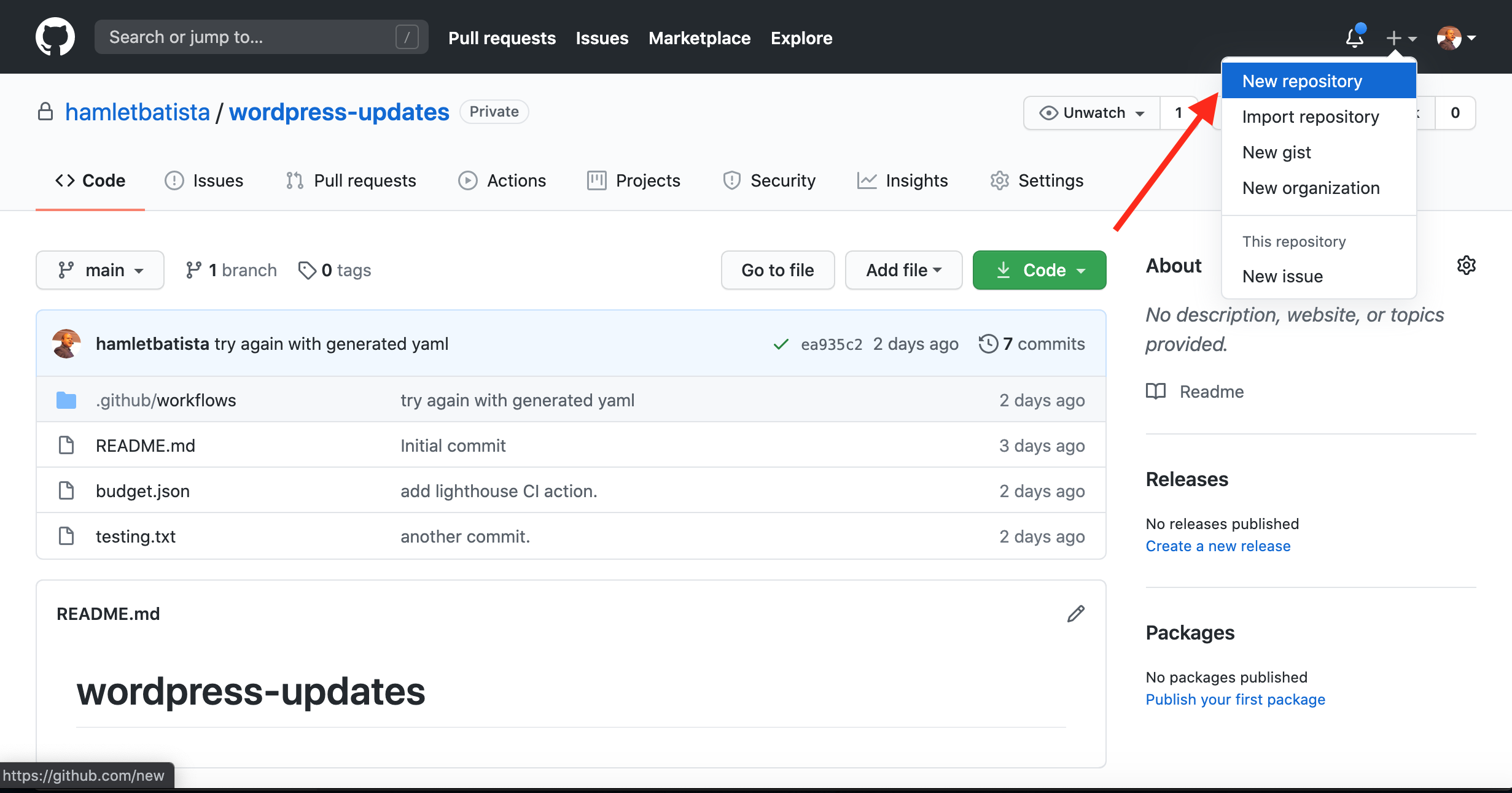 How to Run Automated Lighthouse Audits on WordPress Changes