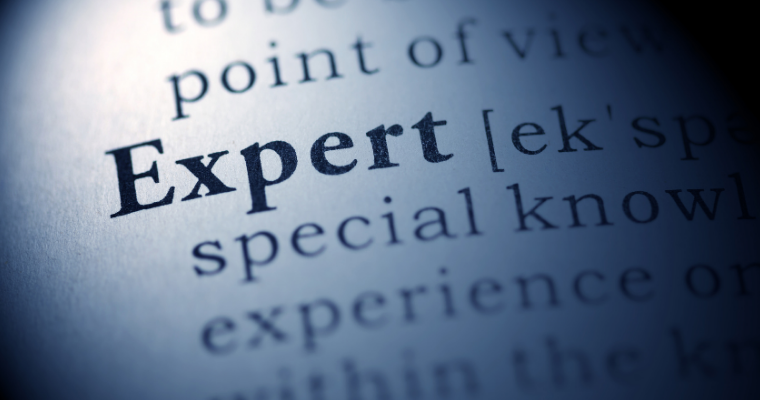 subject matter expert