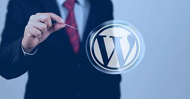 New WordPress Feature Gets Tough Response