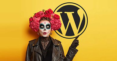 WordPress Update Fiasco