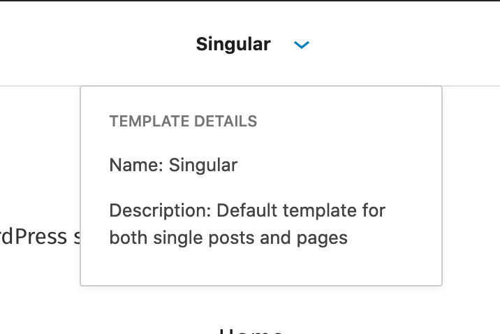 Screenshot of new template details dropdown