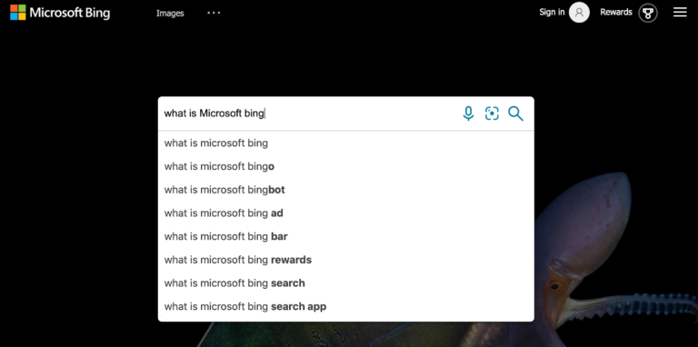 Meet the 7 Most Popular Search Engines in the World