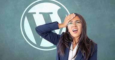 WordPress All in One SEO Auto Updates Cause Backlash