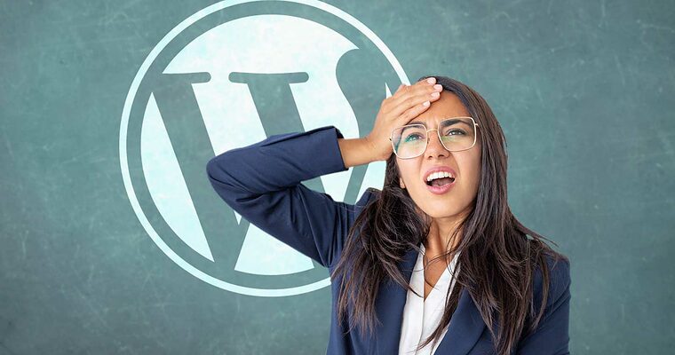 WordPress All in One SEO Auto Updates Cause Backlash