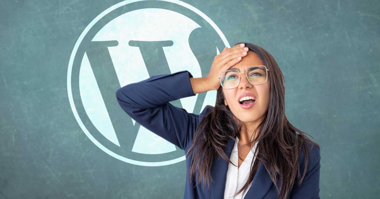 WordPress All in One SEO Auto Updates Cause Backlash
