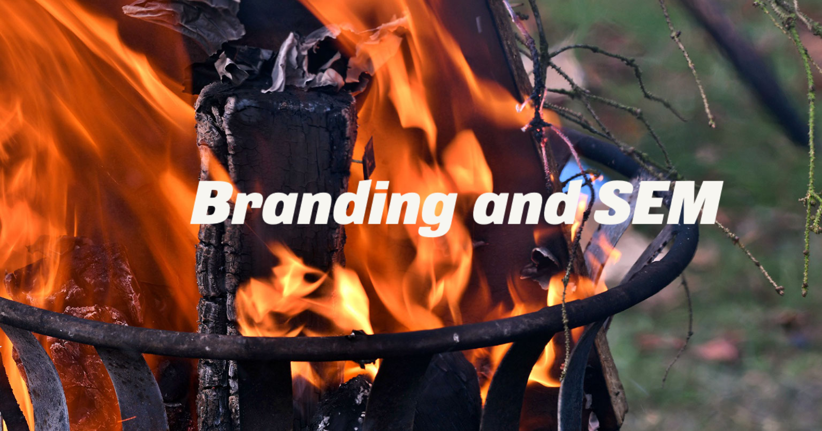 The impact of branding on search marketing