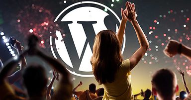 WordPress 5.6.2 Update is Largely Successful