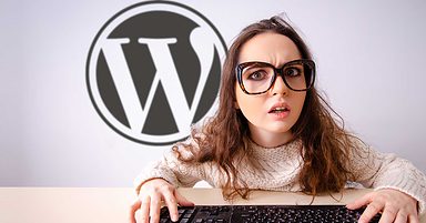 WordPress.com Now Offers Website Development