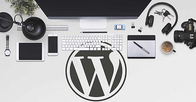 WordPress 5.6.2 Update is Largely Successful