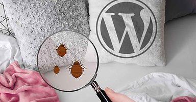 WordPress 5.6.1 Introduces Bug Into Post and Page Windows