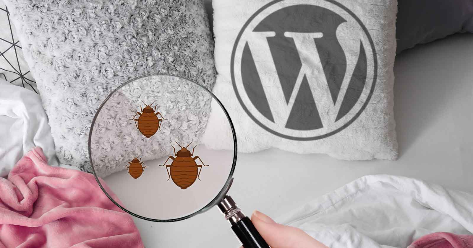 WordPress 5.6.1 Bug