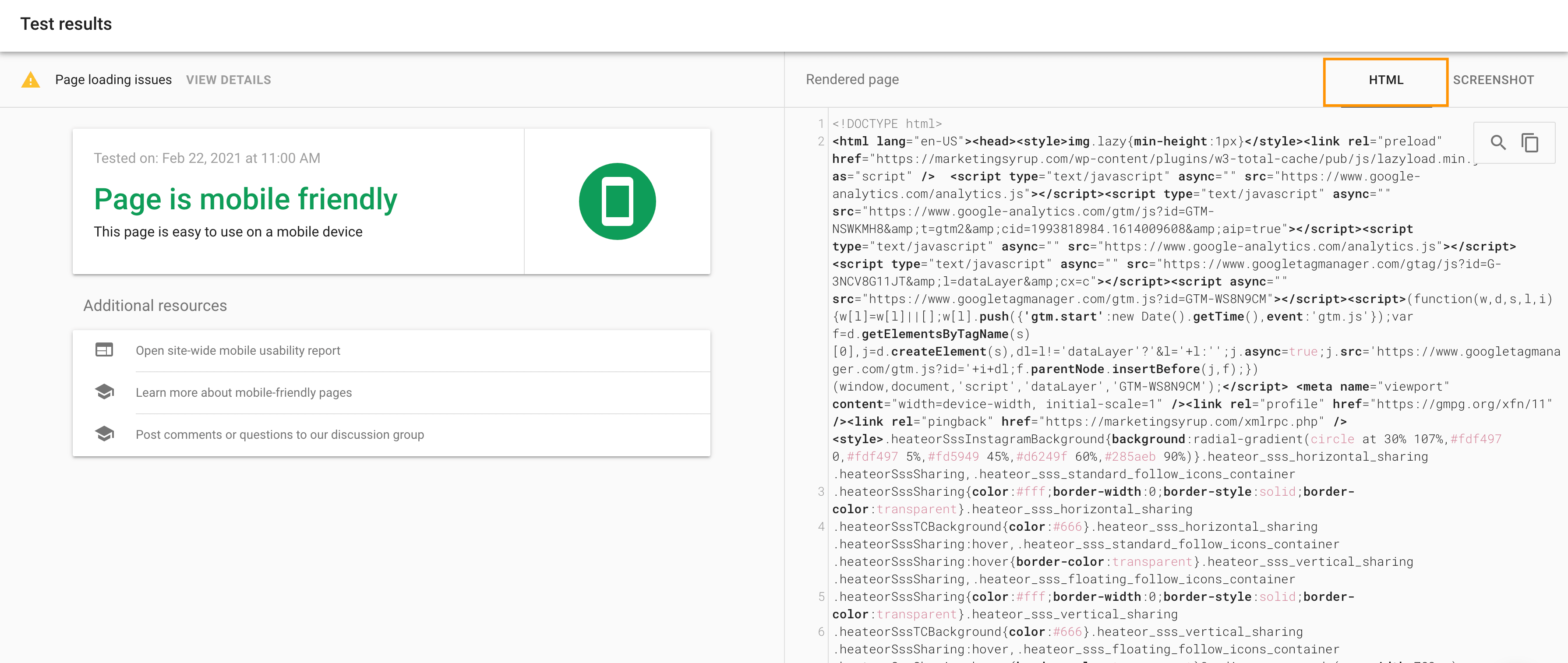 Google's Mobile-friendly Test Tool HTML check