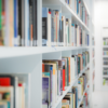 8 Python Libraries for SEO & How To Use Them