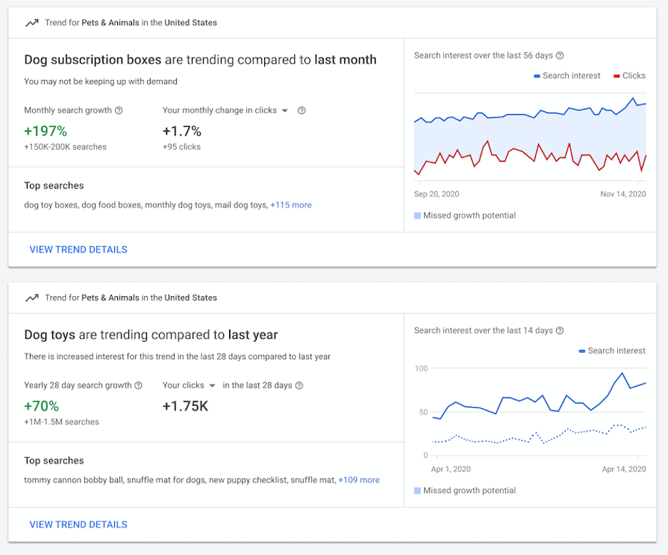 google insights page