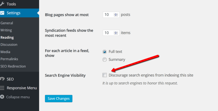 Checking Search Engine Visibility.