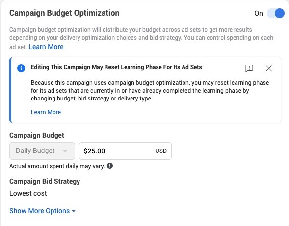 Campaign budget optimization.