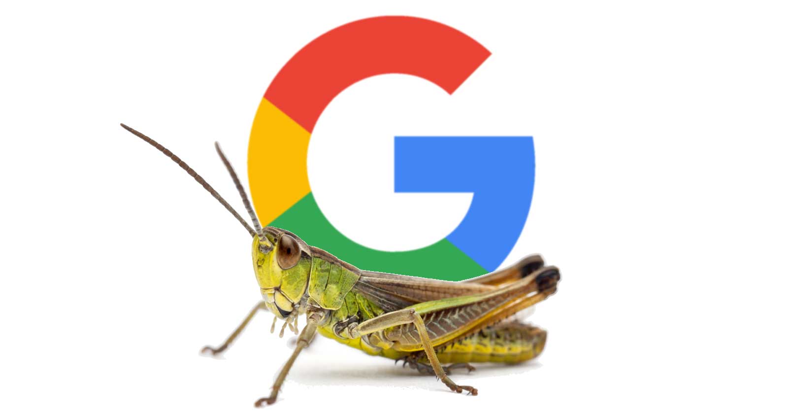featured snippets bug