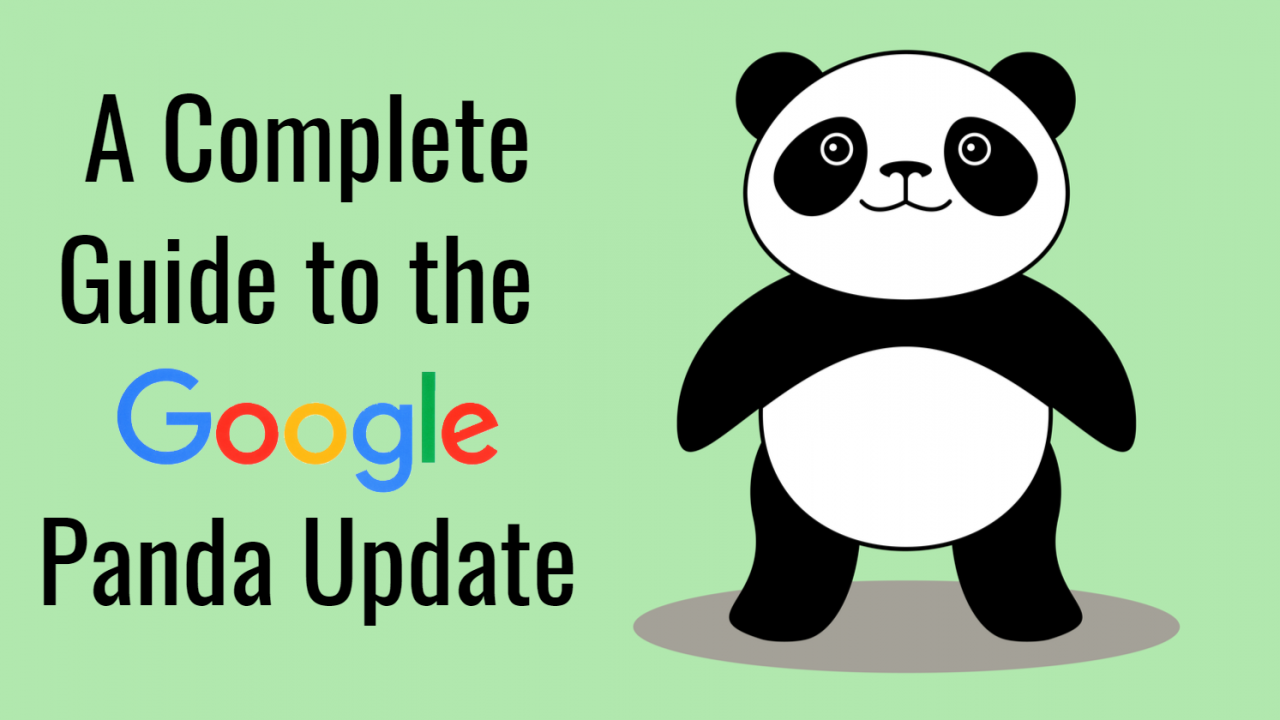 A Complete Guide to the Google Panda Update: 2011-21