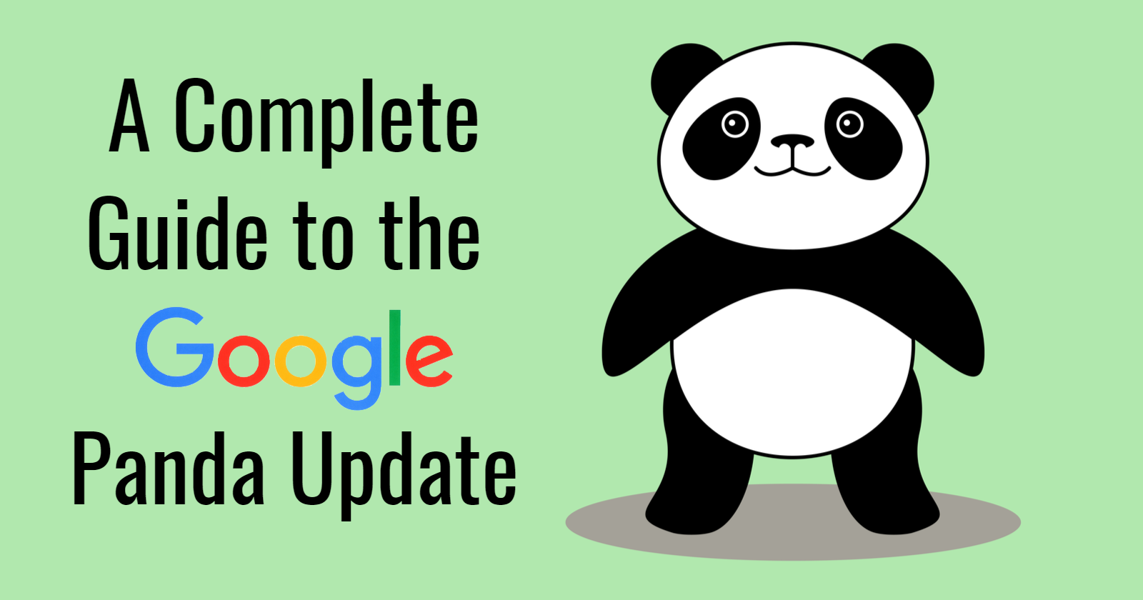 A Complete Guide to the Google Panda Update: 2011-21