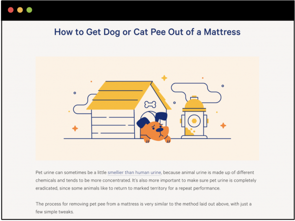 How to Get Dog or Cat Pee Out of the Mattress