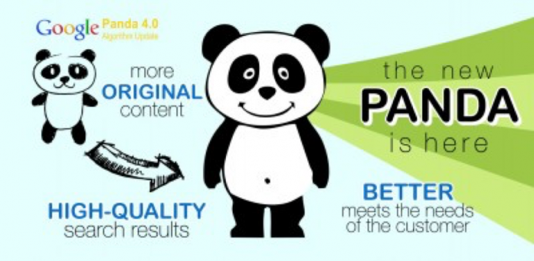 A Complete Guide to the Google Panda Update: 2011-21