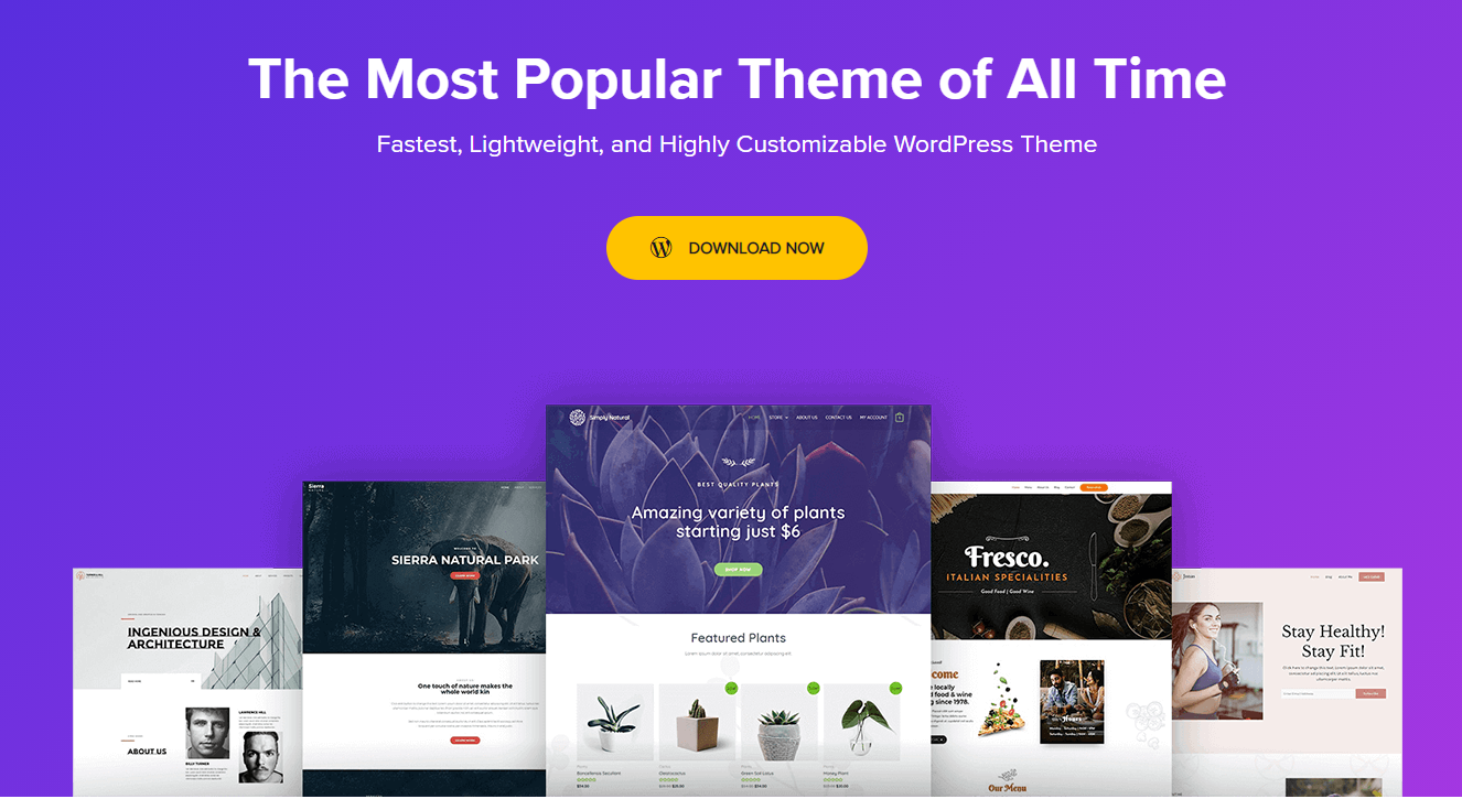 Astra WordPress theme