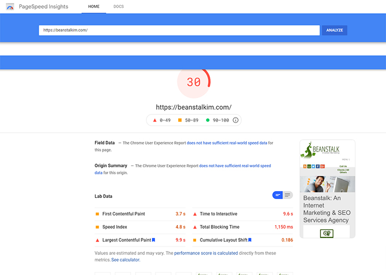 PageSpeed Insights on Beanstalk's website.