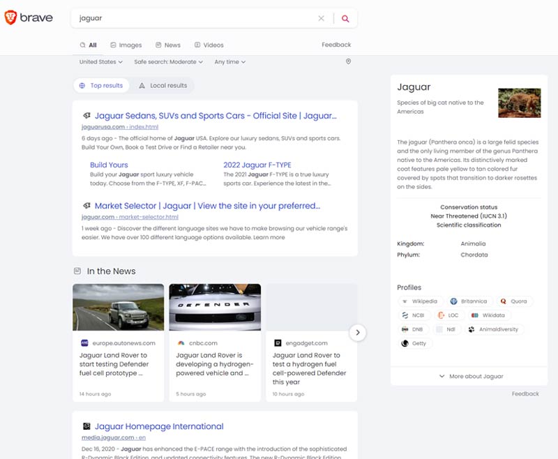 Screenshot of Brave Search results for jaguar