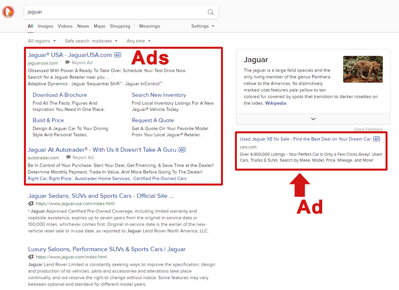 Screenshot of DuckDuckGo search results for jaguar