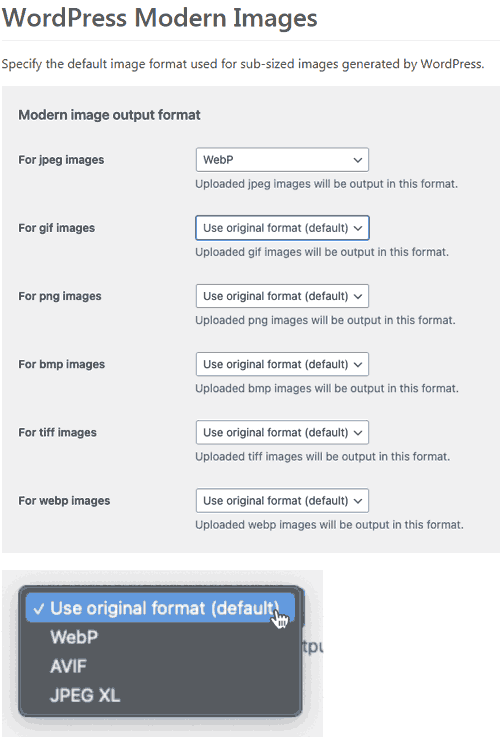 Screenshot of proposed user interface for converting images to the WebP format