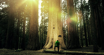 Conductor Raises $150M, Funding Company’s Growth In Organic Marketing Revolution