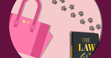 New Google Easter Egg For 20th Anniversary of Legally Blonde