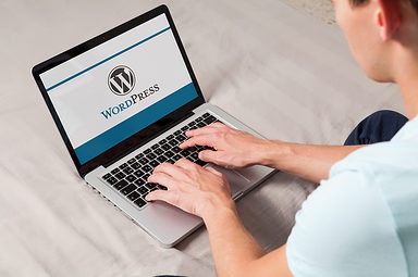 WordPress Dominates Market Share Of Top 10,000 Websites