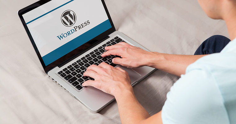 WordPress Dominates Market Share Of Top 10,000 Websites