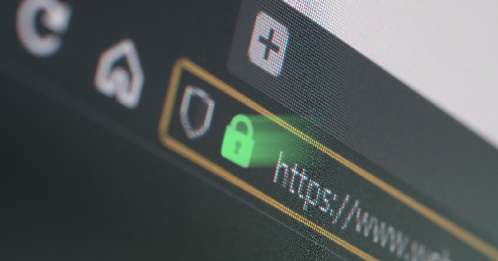 SSL File Extensions and Formats - Beginners Guide