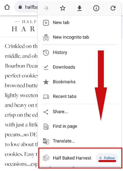 Screenshot of Discover Follow feature in Chrome