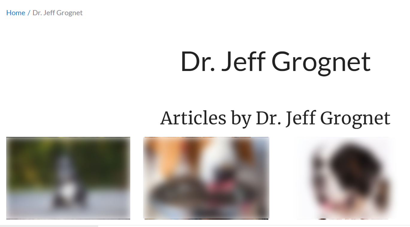 Name written of Dr. Jeff Grognet in his author bio.