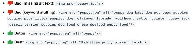 rf 4 1 good bad alt text 61557cdb2a746 sej - Is Alt Text A Ranking Factor For Google Image Search?