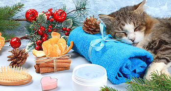 Health & Wellness Advertising Tips To Drive Holiday Sales