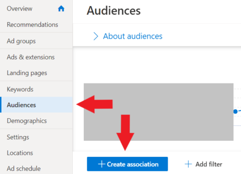 microsoft ads audience filter