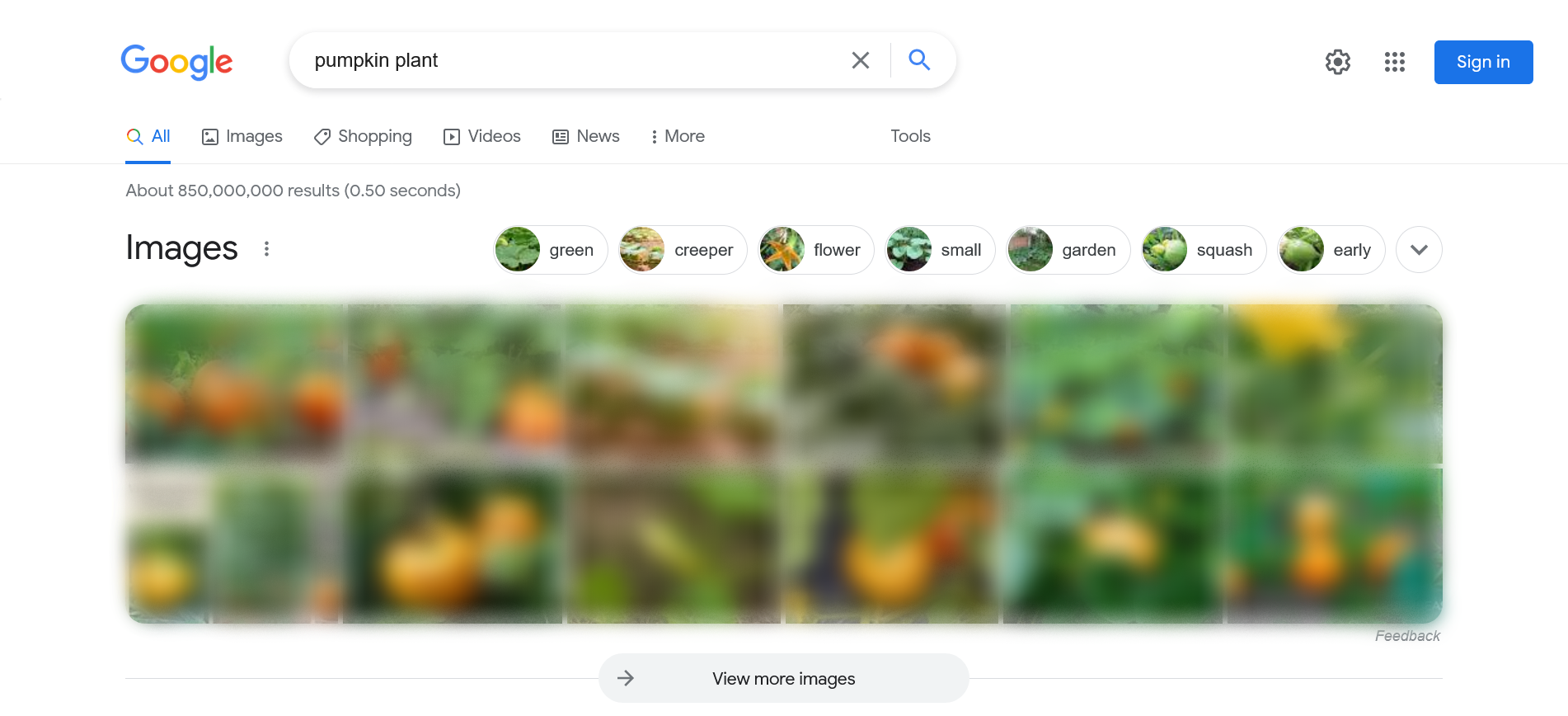 Example of Images SERP feature