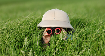 4 Reliable Ways To Create Google-Friendly Content