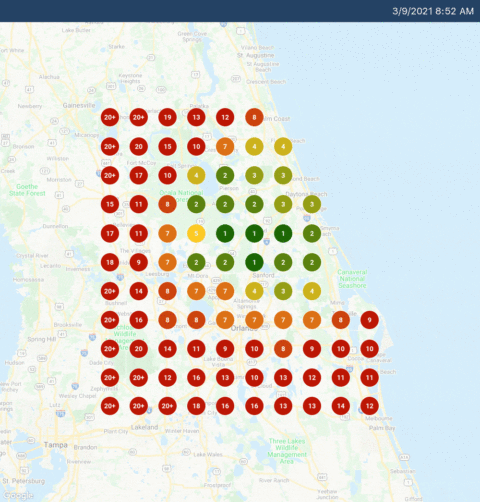 Local falcon GIF showing GMB results