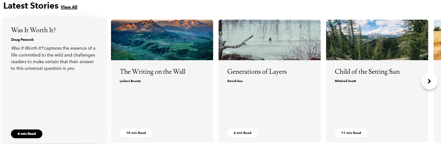 Nature focused stories on Patagonia site