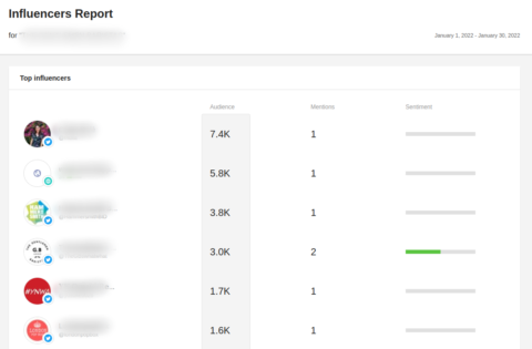 Screenshot of top influencers for a brand 